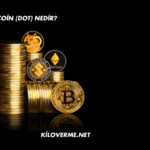 Polkadot Coin (DOT) Nedir?