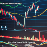 Sasa Katılım Endeksine Uygun mu?