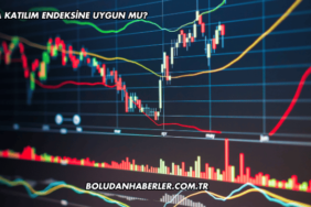 Sasa Katılım Endeksine Uygun mu?