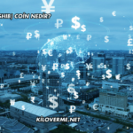 Shiba Inu (SHIB) Coin Nedir?