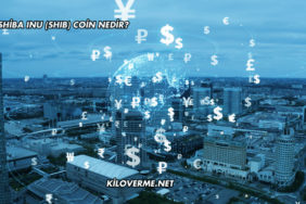 Shiba Inu (SHIB) Coin Nedir?