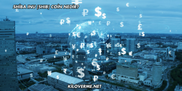 Shiba Inu (SHIB) Coin Nedir?