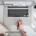 Silverstone PSU Alınır mı?