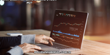 Simit Sarayı Katılım Endeksine Uygun mu?