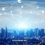 Sui Coin Nedir?