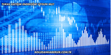 Tukaş Katılım Endeksine Uygun mu?