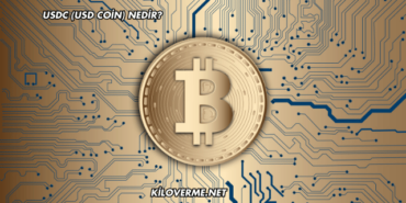 USDC (USD Coin) Nedir?