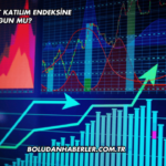 Vera Konsept Katılım Endeksine Uygun mu?
