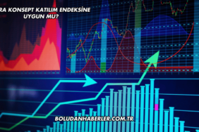 Vera Konsept Katılım Endeksine Uygun mu?