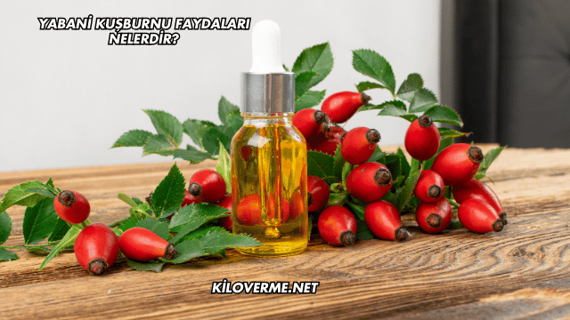 Yabani Kuşburnu Faydaları Nelerdir?