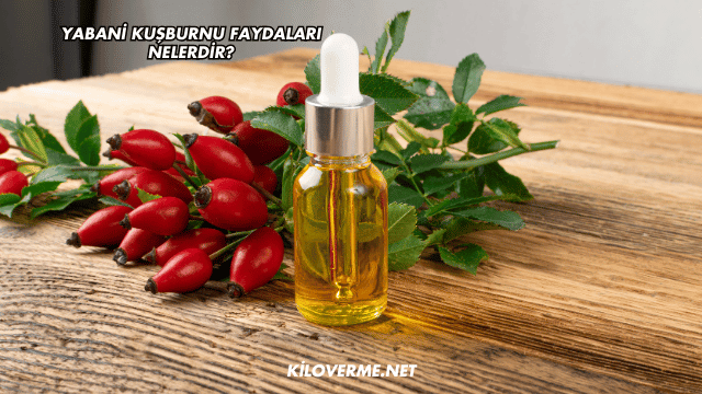Yabani Kuşburnu Faydaları Nelerdir?