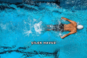 Çilek Havuz Hakkında