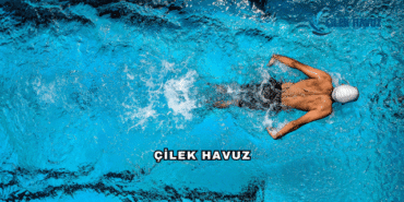 Çilek Havuz Hakkında