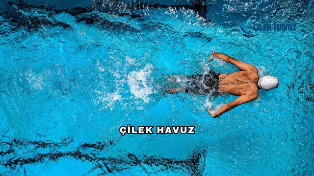 Çilek Havuz Hakkında