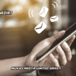 QSMS Nedir?