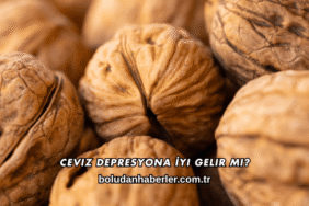 Ceviz Depresyona İyi Gelir mi?