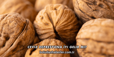 Ceviz Depresyona İyi Gelir mi?