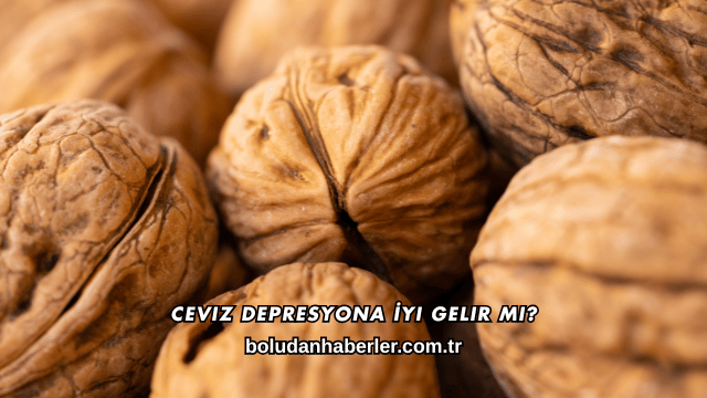Ceviz Depresyona İyi Gelir mi?