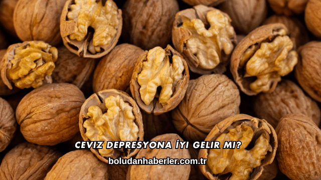 Ceviz Depresyona İyi Gelir mi?
