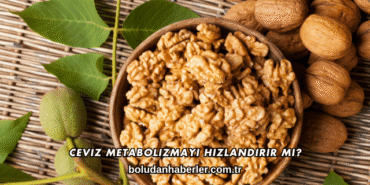 Ceviz Metabolizmayı Hızlandırır mı?