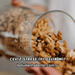 Ceviz Strese İyi Gelir mi?