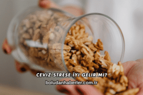 Ceviz Strese İyi Gelir mi?