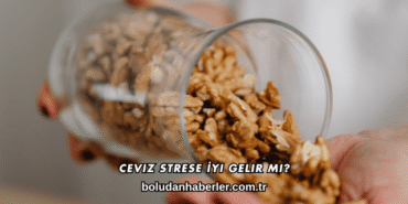 Ceviz Strese İyi Gelir mi?