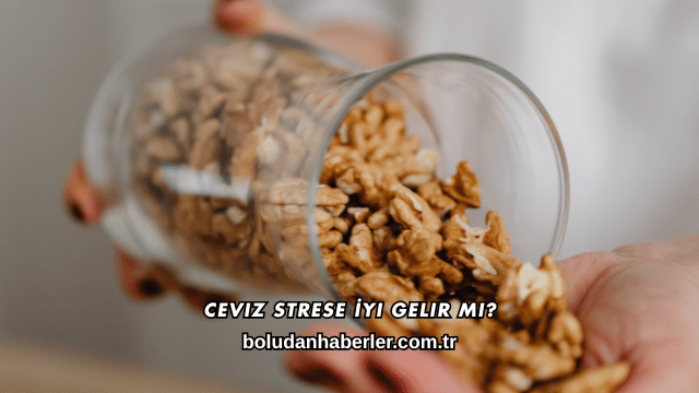 Ceviz Strese İyi Gelir mi?