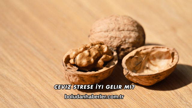 Ceviz Strese İyi Gelir mi?