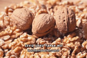 Ceviz Uyku Yapar mı?
