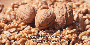 Ceviz Uyku Yapar mı?