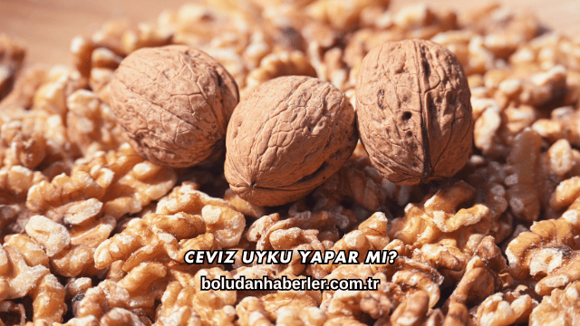 Ceviz Uyku Yapar mı?