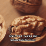 Ceviz Yağ Yakar mı?