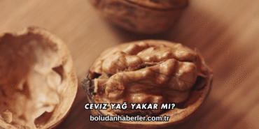 Ceviz Yağ Yakar mı?