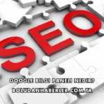 Google Bilgi Paneli Nedir?