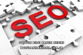 Google Bilgi Paneli Nedir?