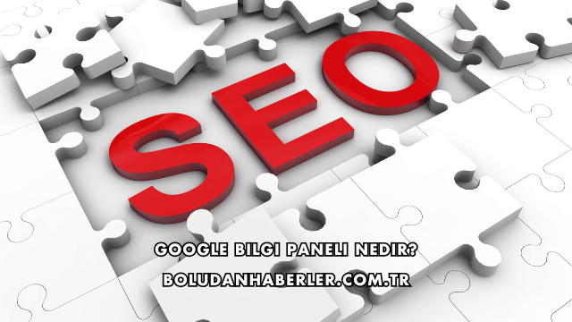 Google Bilgi Paneli Nedir?