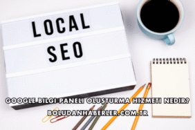 Google Bilgi Paneli Oluşturma Hizmeti Nedir?