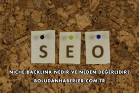 Niche Backlink Nedir ve Neden Değerlidir?