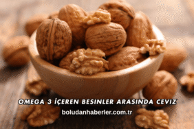 Omega 3 İçeren Besinler Arasında Ceviz