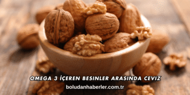 Omega 3 İçeren Besinler Arasında Ceviz