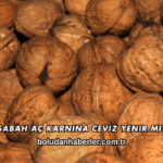 Sabah Aç Karnına Ceviz Yenir mi?