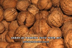 Sabah Aç Karnına Ceviz Yenir mi?