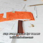 Seri Numarası Ne İşe Yarar?