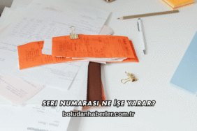 Seri Numarası Ne İşe Yarar?
