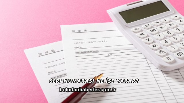 Seri Numarası Ne İşe Yarar?